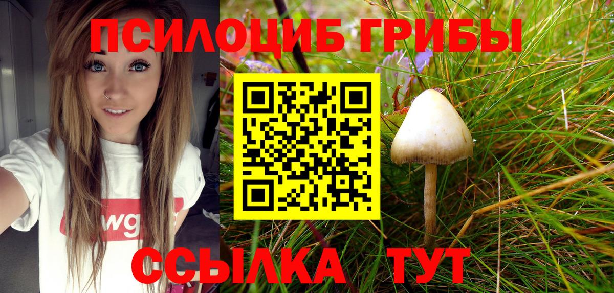 Псилоцибиновые грибы MAGIC MUSHROOMS Грязи