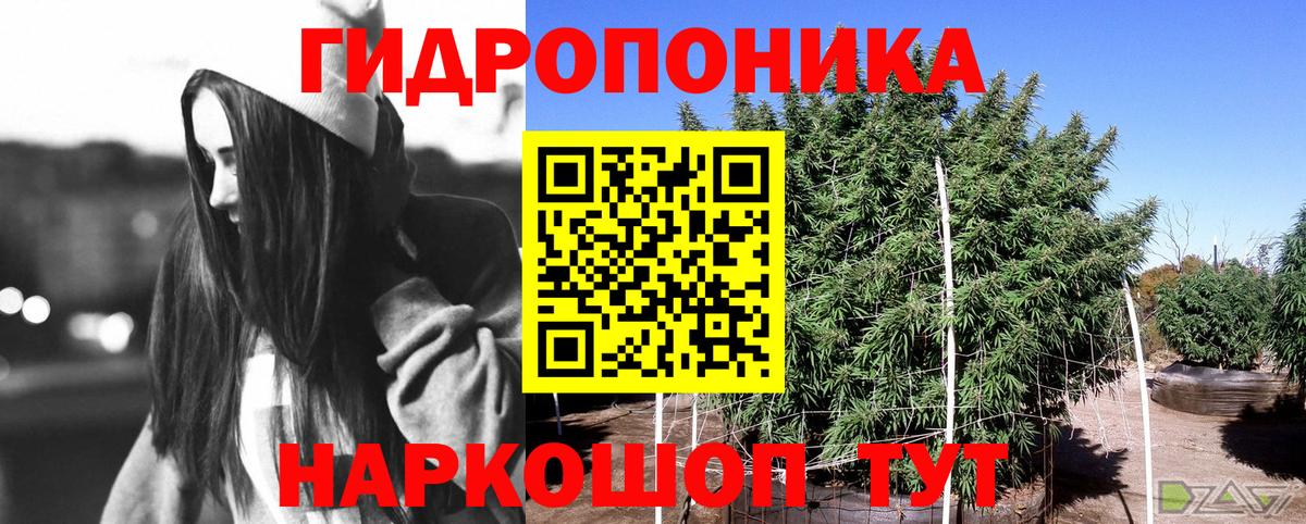 Канабис тримм  Вход с VPN  Грязи  Канабис план  МАРИХУАНА конопля 
